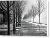Path Through Fog - Canvas Print