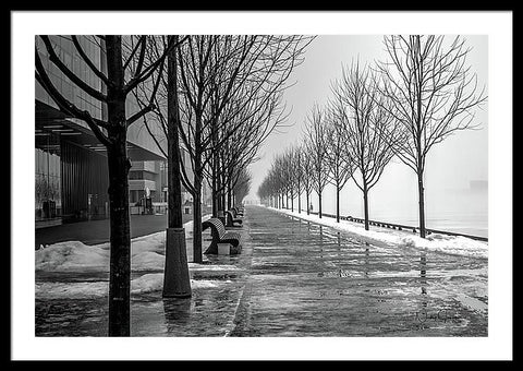 Path Through Fog - Framed Print