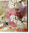 I know The Cherry Blossom Will Still Bloom - Canvas Print